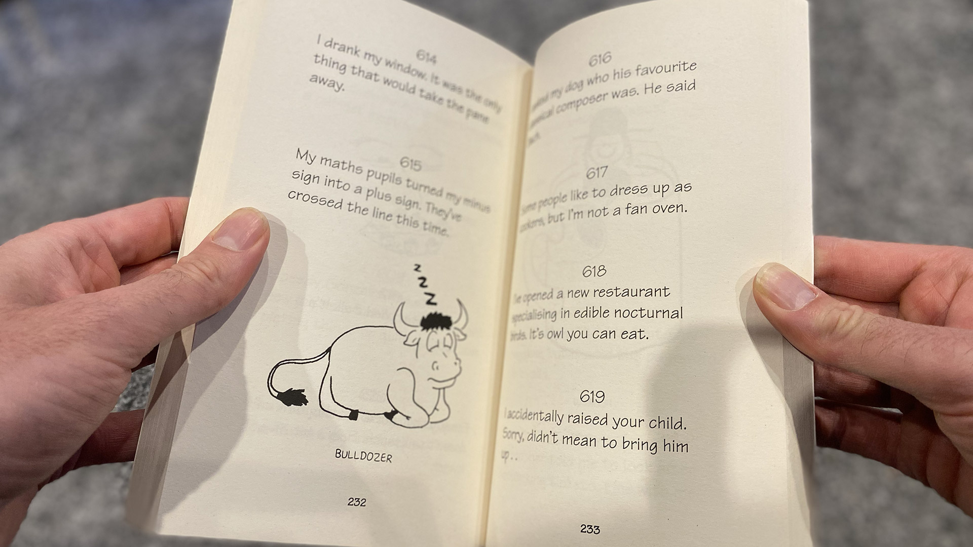 Cheep Laughs Pages